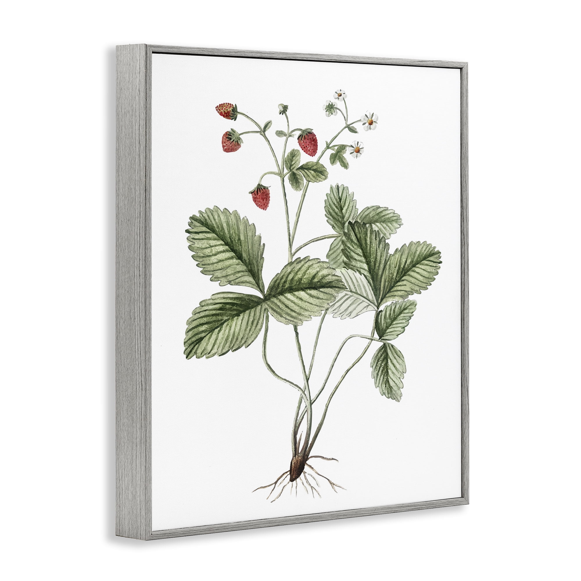 Stupell Industries Budding Strawberries Study Food & Beverage Painting Gray Framed Art Print Wall Art, 11 x 14