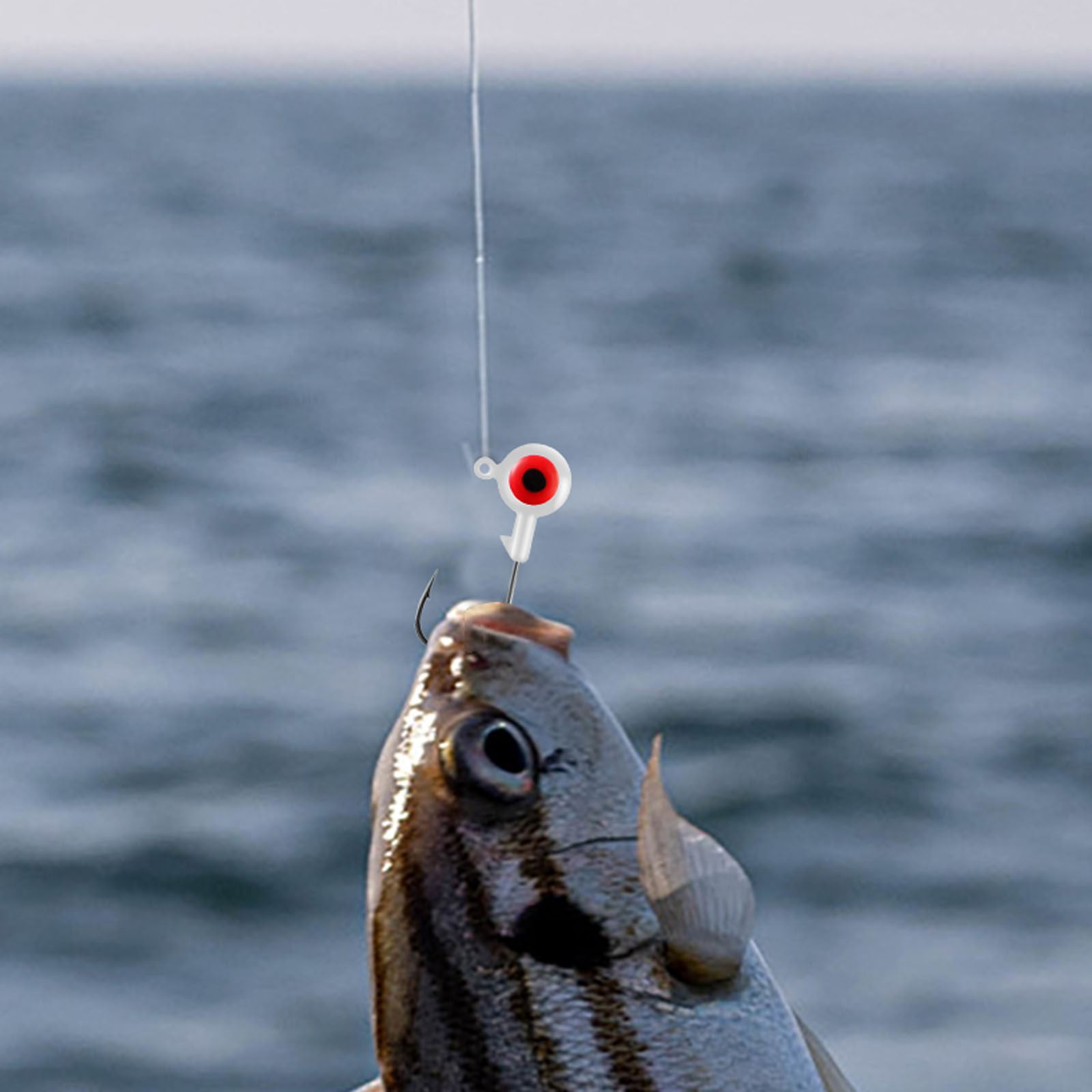 Fishing Jig Heads 10-Piece Set - Round Ball Jigs with 3D Eyes | High Carbon Steel Hooks for Bass, Crappie & Walleye | Freshwater & Saltwater Jig Heads for All Fishing Styles