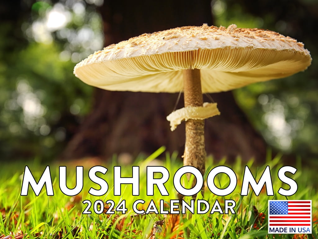 Mushroom 2024 Wall Calendar