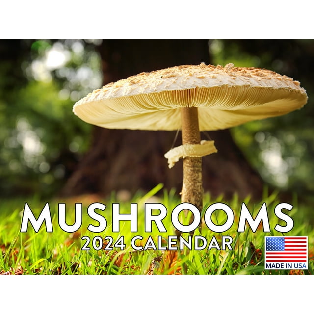 Mushroom 2024 Wall Calendar