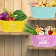 thumbnail image 4 of A1 Unlimited Plastic Oval Containers with Handles 13x6.875x4.625-in., Assorted Whimsical Colored Plastic Ice Bucket Baskets Cooler Easter Egg Hunt Stuff, 2ct. (Styles May Vary), 4 of 7