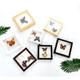 thumbnail image 4 of Marco de fotos de animales, insectos, tridimensional, hueco, 2 cm, para montar en la pared, regalo creativo, 4 of 4