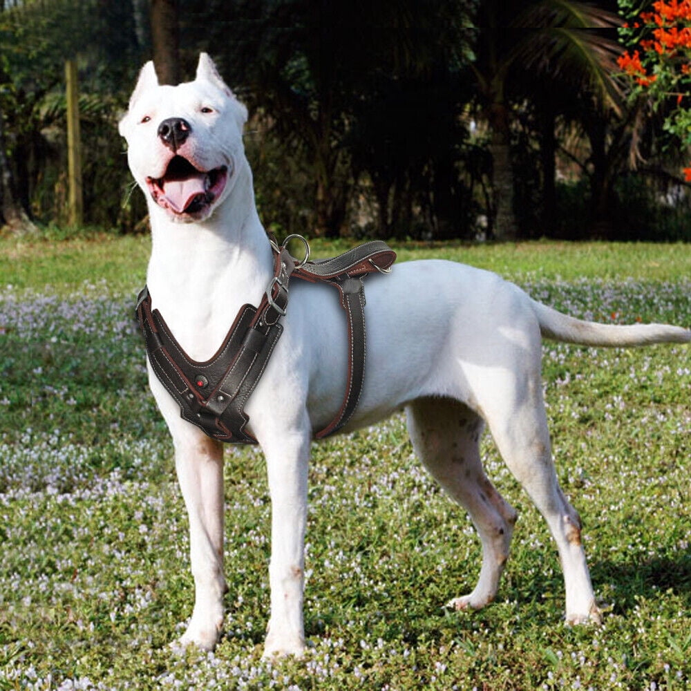 Didog Leather Large Dog Harness Heavy Duty Vest Thick Soft for Big Medium Breed Dogs Brown