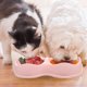 thumbnail image 5 of Alimentador de mascotas para perros pequeños y gatos, cuencos de doble elevación, contenedor de agua y comida de plástico, 2 uds., 5 of 5