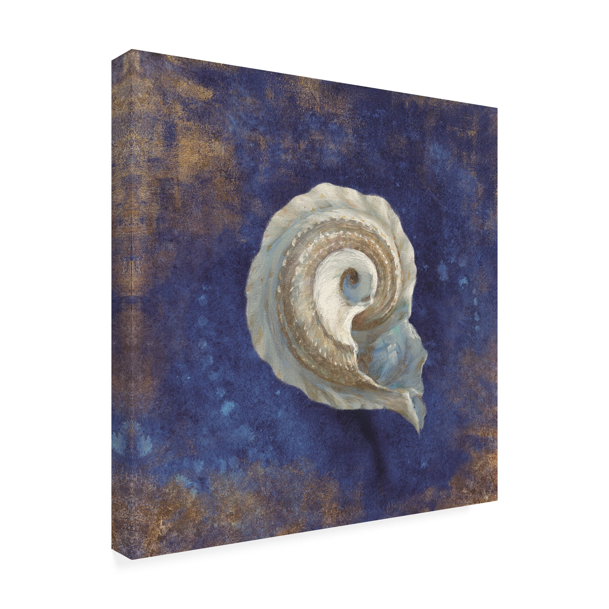 Trademark Fine Art 'Treasures from the Sea Indigo III' Canvas Art by Danhui Nai