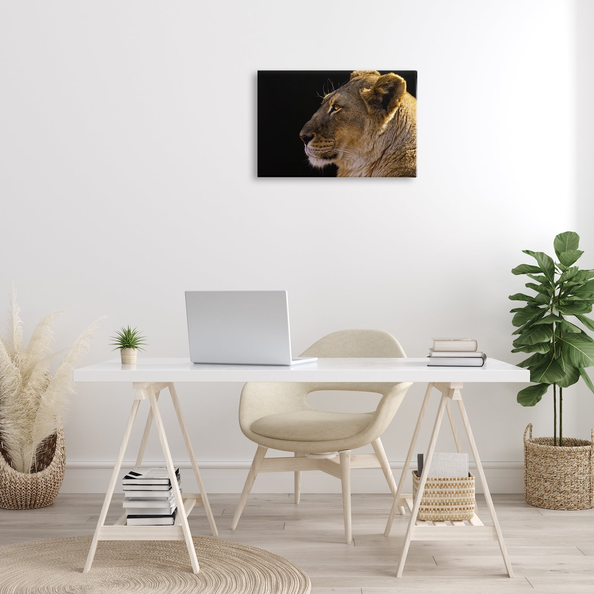 Stupell Industries Fierce Lion Looking Left Animals Photography Wrapped Canvas Art Print Wall Art, 24 x 16