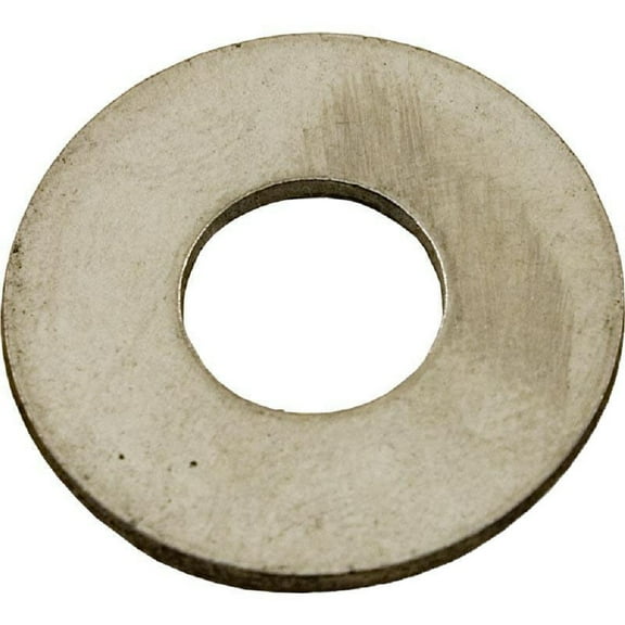 Pentair 154418 3/8" Stainless Steel Washer Replacement Triton II Pool or Spa
