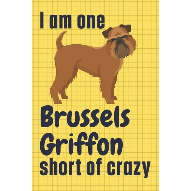 why does my brussels griffon itch