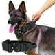 thumbnail image 2 of Collar para Entrenamiento Ajustable Con Asa Adecuado Todas Las Razas, 2 of 9