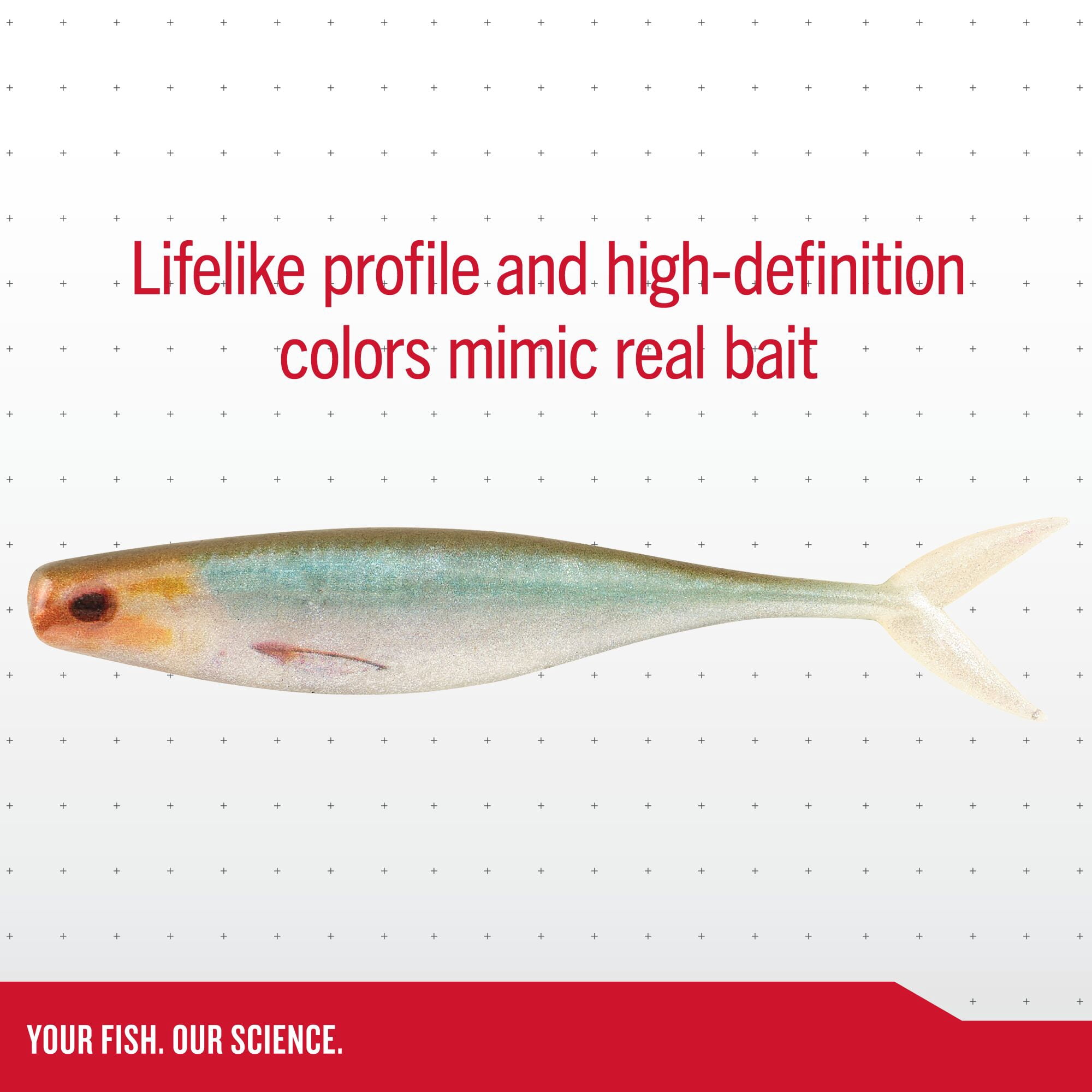 Berkley PowerBait® The Champ Minnow, 2.5 in, Minnows, HD Blacknose Shiner (10 Count)