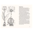 thumbnail image 3 of Little Book of Natural Wonders Tulips: A Little Book of Flowers, (Hardcover), 3 of 6