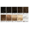 thumbnail image 3 of Arctic Fox Semi-Permanent Hair Color - Sterling  4oz, 3 of 7