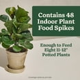 thumbnail image 6 of Miracle-Gro Indoor Plant Food Spikes for All Plants, For Houseplants and More, 48 spikes, 6 of 11