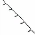 thumbnail image 3 of Christmas LED 70-Light Set, Micro Twinkling, Multi - 47902-88A, 3 of 3