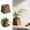 B, variant on Rattan Flower Basket with Liner for Plants, Wicker Woven Round Pot for Bathrooms, Kitchens, Home Office, 5.1 Inch, Rustic Farmhouse Decor for Succulents
