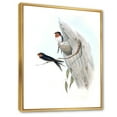 thumbnail image 3 of Designart 'Ancient Australian Bird Illustrations II' Traditional Framed Canvas Wall Art Print, 3 of 5
