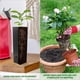 thumbnail image 5 of 60 piezas (negro, 9x29 cm) Bolsas para viveros de plantas, macetas profundas para viveros de árboles, taza alta para plántulas con orificios de drenaje para jardín, boca cuadrada delgada, engrosada y, 5 of 5
