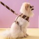 thumbnail image 1 of Juego de arnés de seguridad ajustable para cachorros y perros, chaleco de arnés de pecho con collar de correa de perro acolchado transpirable con asa para perros pequeños, medianos y grandes JAMW Sencillez, 1 of 5