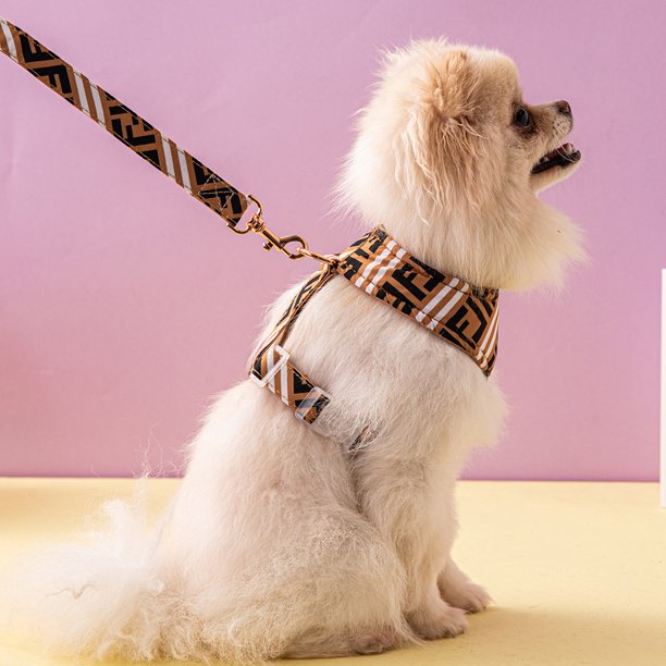 Juego de arnés de seguridad ajustable para cachorros y perros, chaleco de arnés de pecho con collar de correa de perro acolchado transpirable con asa para perros pequeños, medianos y grandes JAMW Sencillez