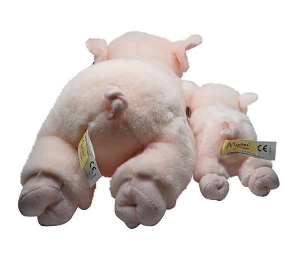 miyoni pig