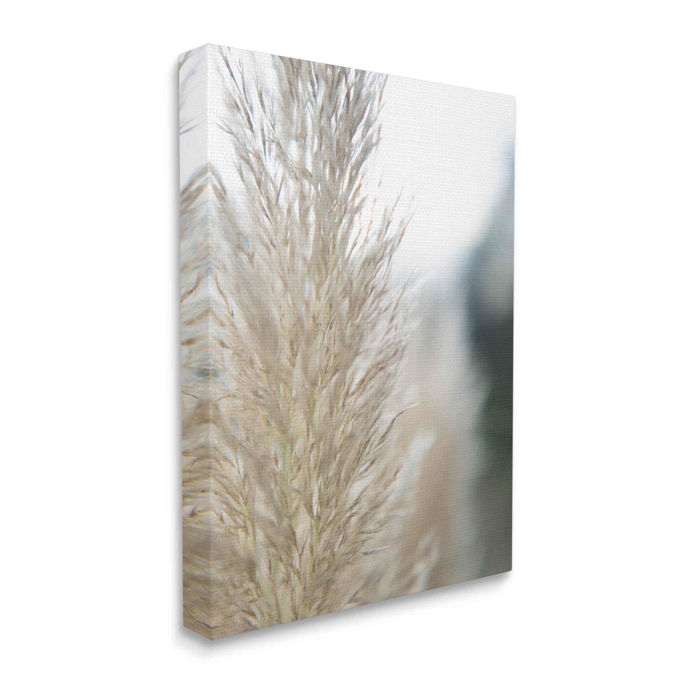 Stupell Industries Natural Pampas Grass Photography Scene Photograph Gallery Wrapped Canvas Print Wall Art, Design by Jason Johnson