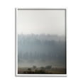 thumbnail image 4 of Stupell Industries Peaceful Fog Rural Landscape Woodlands Trees Clouds Framed Wall Art, 11 x 14, Design by Carol Robinson, 4 of 5