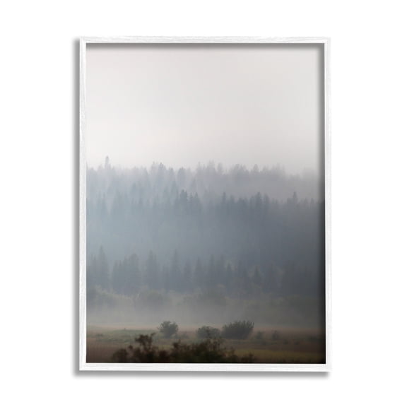 Stupell Industries Peaceful Fog Rural Landscape Woodlands Trees Clouds Framed Wall Art, 24 x 30, Design by Carol Robinson