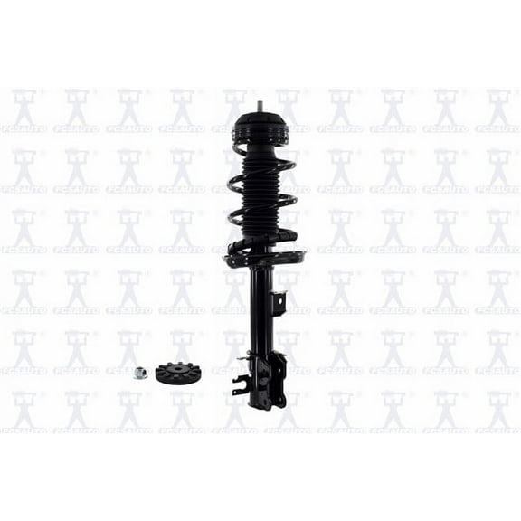 Suspension Strut and Coil Spring Assembly