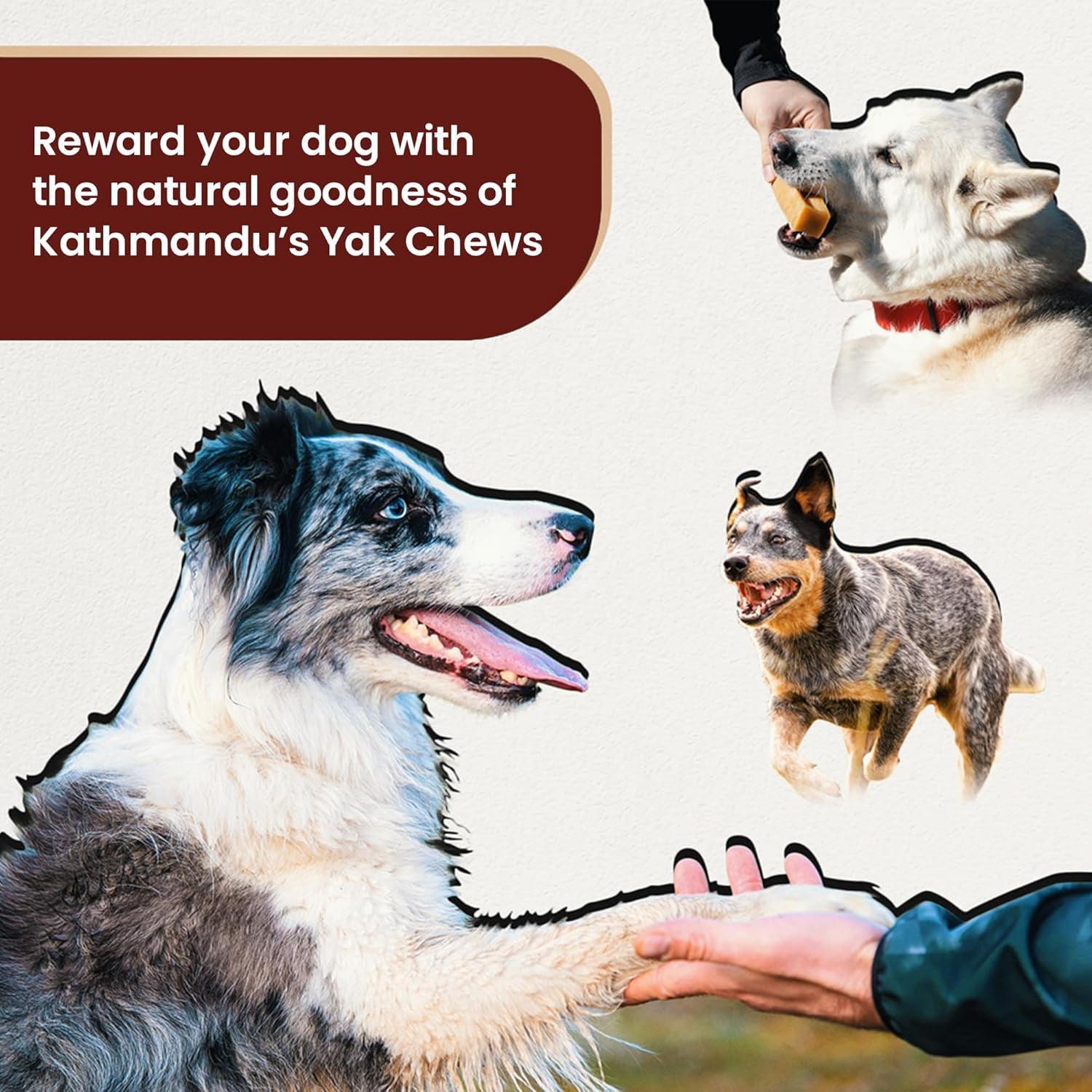 Kathmandus Authentic Himalayan Cheese Natural Dental Chews for Dogs, Small, 10 Chews Packet