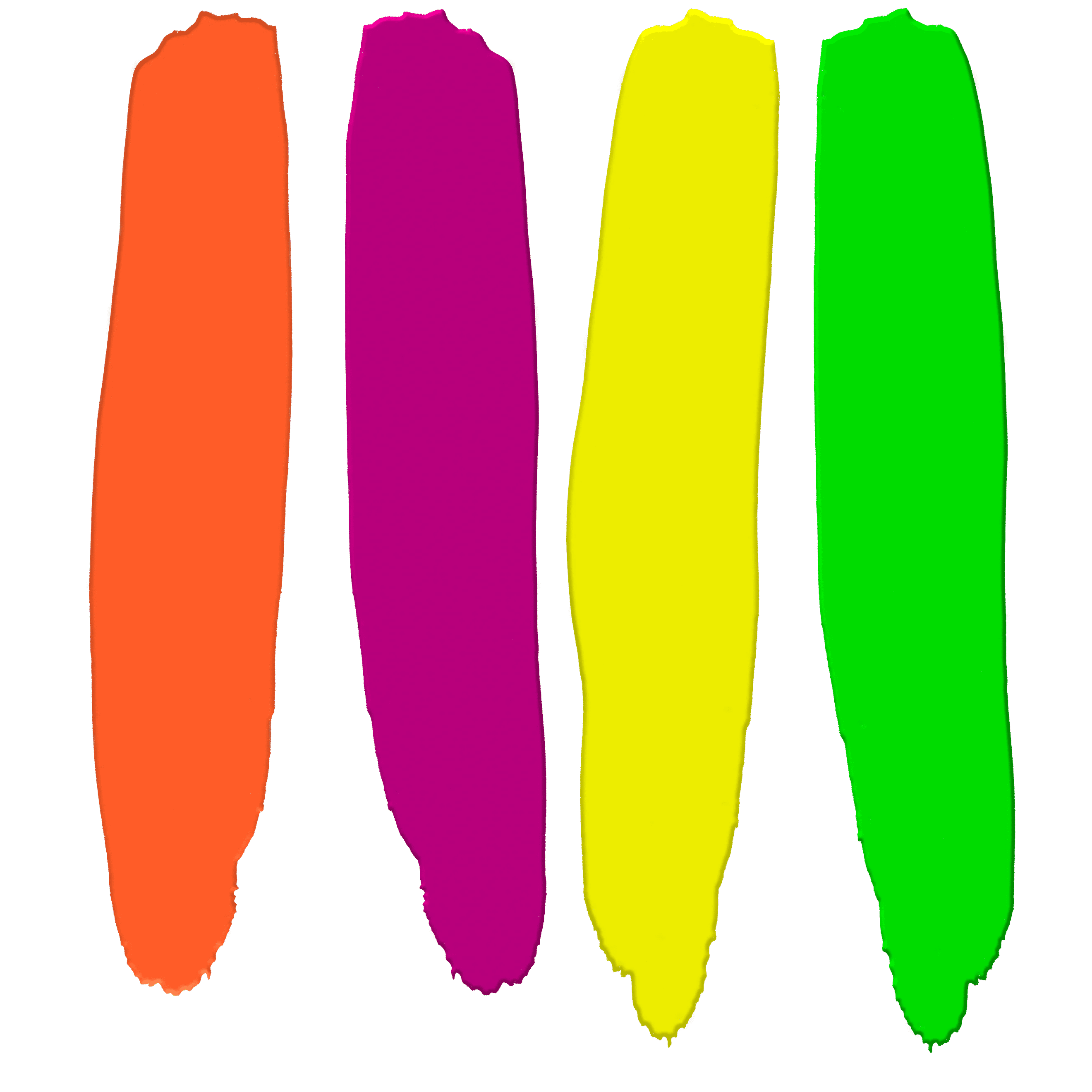 Neon Wonderland ENTIRE Collection Bundle