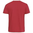 thumbnail image 2 of Duke Mens D555 Signature Kingsize T-Shirt, 2 of 4