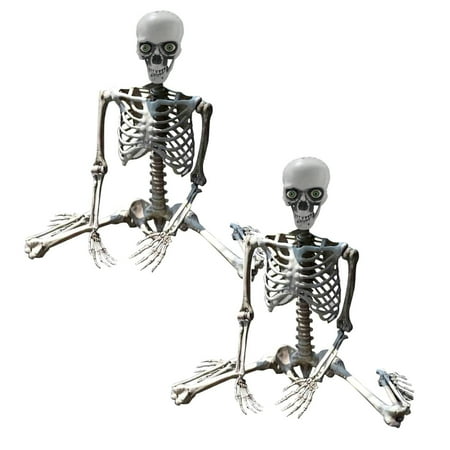 

Skeleton Prop Deco Skeleton Life Size Full Body Posable Joints Skeletons Human Full Size Hand Life Body Anatomy Model Decorations Outdoor Party Dress for Women Sexy Club Event Dress plus Size Event