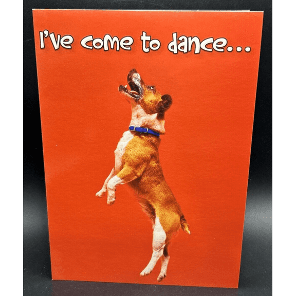 I Like You Greeting Card w/Envelope