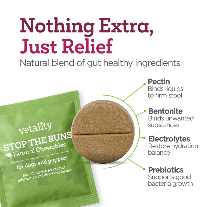 Vetality Stop The Runs, Anti-Diarrhea Chewable Tablets for Dogs, 6 Count.  Fast Acting and Supports Normal Bowel Function for Dogs.  Chicken Apple Flavor.