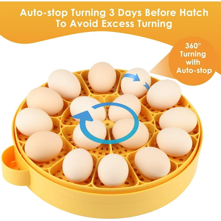 egg バニティ China High Quality 12V 48H Eggs Mini Chicken Quail Egg