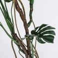 thumbnail image 2 of Tall Faux Monstera plant | 71 inch | Tropical Decor by Vintage Home, 2 of 4