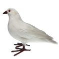 thumbnail image 4 of EIMELI Artificial Decor Taxidermy #4, 4 of 8