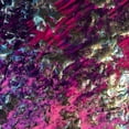 thumbnail image 5 of Radiant Chrome Velvet | Elite Master Grade Luxe Flex | Spandex Palace, 5 of 5