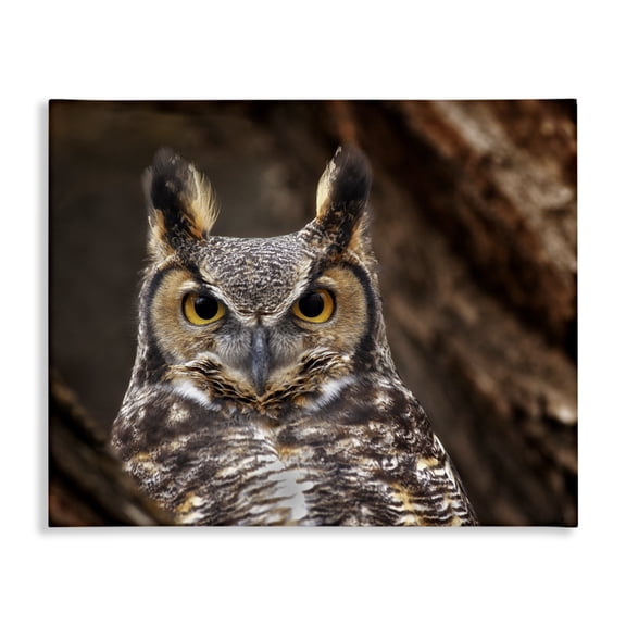 Stupell Industries Traditional Horned Owl Nature Photography Canvas Art, 20 x 16, by Dennis Frates
