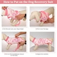 thumbnail image 5 of DENTRUN Dog Surgery Recovery Suit, Dog Onesie After Surgery Breathable Abdominal Wound Skin Diseases Protector, Cone Collar Alternative, Anti Licking Professional Surgical Recovery Costume, 5 of 7