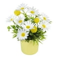 thumbnail image 1 of Mainstays Artificial Daisy & Billy Button Pot, 1 of 4