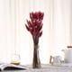thumbnail image 5 of Hierba de la pampa seca y flores para ramos y jarrones decorativos - Rosewood Accent Elegancia eterna, 5 of 6