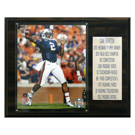 C&I Collectables NCAA Football 12x15 Cam Newton Auburn Tigers Career Stat (Best Of Cam Newton)