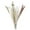 Style D, variant on 30Pcs Real Dried Pampas Grass Bouquet Bunch Phragmites Reed Flower Plants Floral Crafts for Decors, Table Centerpieces, Vase ,Wedding ,Birthday Style D