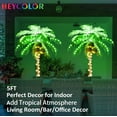 thumbnail image 4 of Palmera iluminada por LED de 5 pies con cocos para decoración exterior/interior, 4 of 6