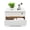 White, variant on ToppiJoy 3-Tier Wooden Desktop Storage Box with Lockable Drawers, Modern Tung Wood Desk Organizer, Bamboo Storage with Keys (Walnut)