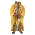 thumbnail image 2 of Design Toscano QM17041 Sensei Monk Zen Garden Squirrel Animal Statue Full Color Realistic, 2 of 6
