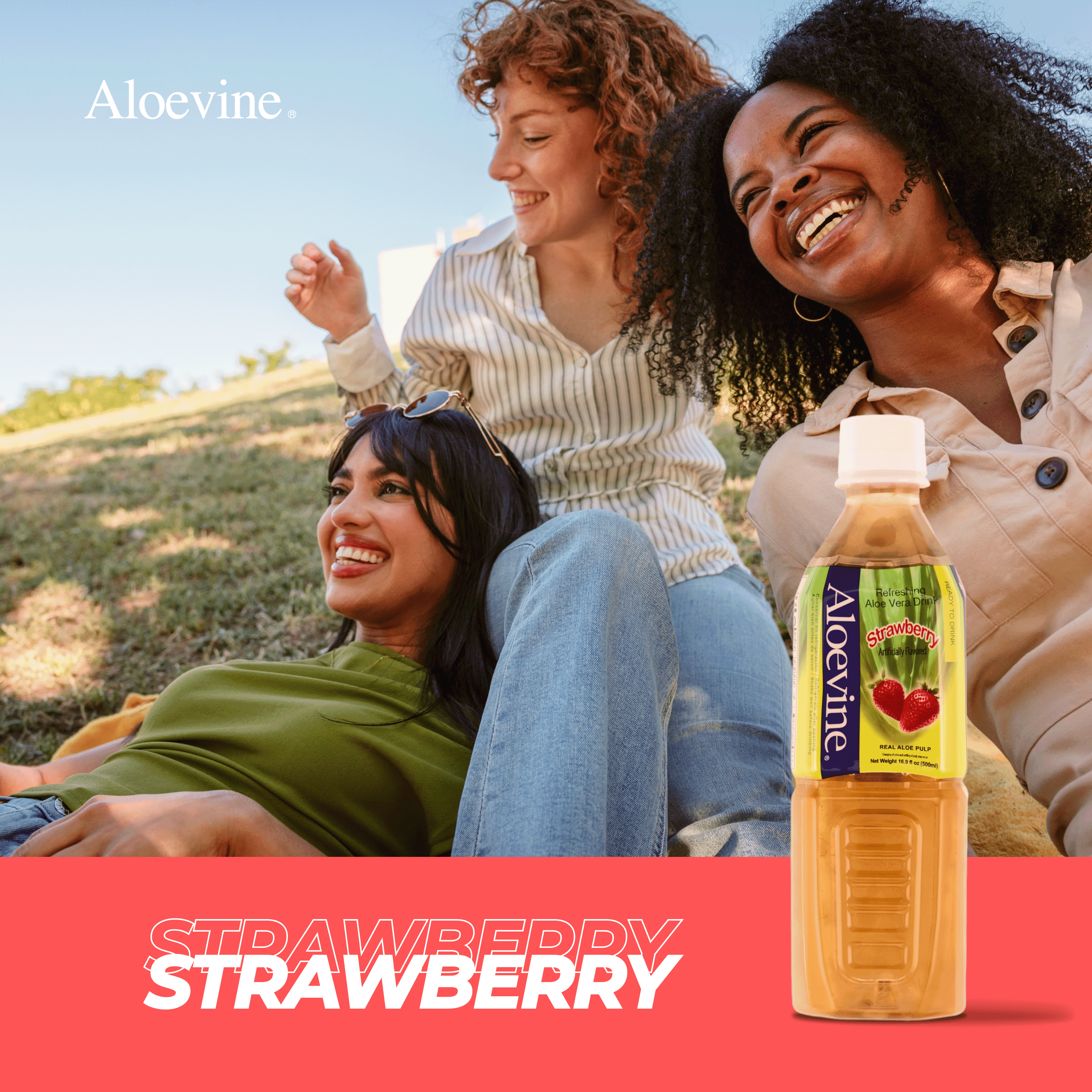 Aloevine Strawberry Aloe Vera Drink with Aloe Pulp, 16.9 fl oz, 10 Count Bottles