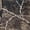 Timber Camo, variant on Men's Hunting Camo Pants with Reinforced Knees, Water-Resistant, Breathable