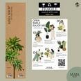 thumbnail image 3 of Maia Shop 5ft Dracaena Artificial Plant, Fake Plants for Home Decor, 3 of 9